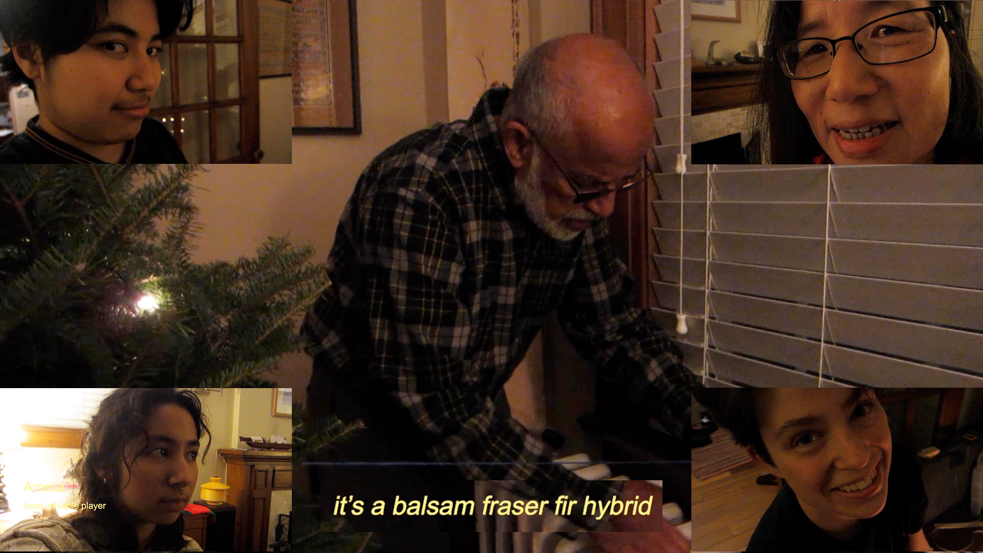 balsam x fraser fir hybrid 16:9 poster